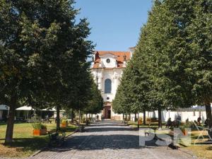 Prodej bytu 2+kk, Praha - Břevnov, Pod Drinopolem, 60 m2