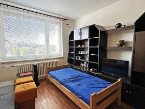 Prodej bytu 1+kk, Třebíč, Okružní, 30 m2