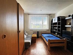 Prodej bytu 1+kk, Třebíč, Okružní, 30 m2