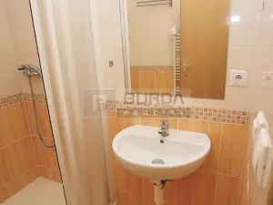 Pronájem bytu 1+kk, Neratovice, 19 m2