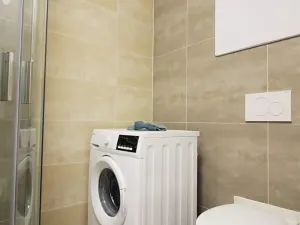 Pronájem bytu 1+kk, Brno, Matlachova, 27 m2