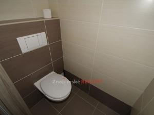 Pronájem bytu 1+1, Znojmo, Velká Mikulášská, 56 m2
