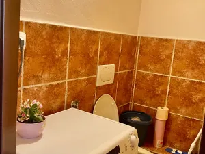 Pronájem bytu 1+1, Praha - Košíře, Vrchlického, 33 m2