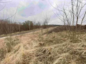 Dražba pole, Týn nad Vltavou, 440 m2