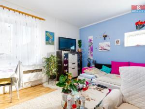 Prodej rodinného domu, Horka nad Moravou, Míru, 240 m2