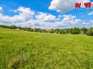 Prodej pozemku pro bydlení, Bílovec, 1. máje, 1002 m2