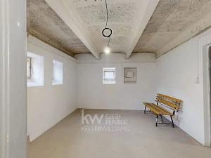 Pronájem skladu, Praha - Dejvice, U Hadovky, 47 m2