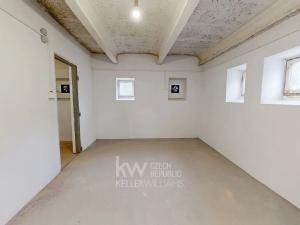 Pronájem skladu, Praha - Dejvice, U Hadovky, 47 m2
