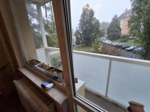Prodej bytu 2+1, Cheb, Riegerova, 53 m2