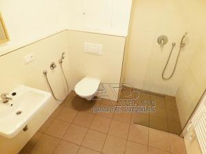 Pronájem bytu 2+kk, České Budějovice, Nová, 47 m2