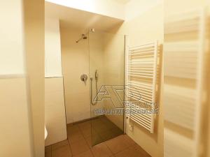 Pronájem bytu 2+kk, České Budějovice, Nová, 47 m2