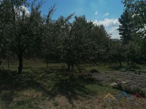 Prodej chaty, Břidličná, Nerudova, 16 m2
