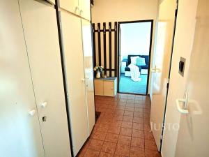 Pronájem bytu 2+1, Postřelmov, Nová, 52 m2