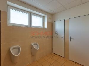 Pronájem kanceláře, Hustopeče, Herbenova, 526 m2