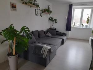 Pronájem bytu 3+kk, Horažďovice, 70 m2