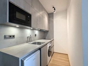Pronájem bytu 1+kk, Brno, Placzkova, 27 m2
