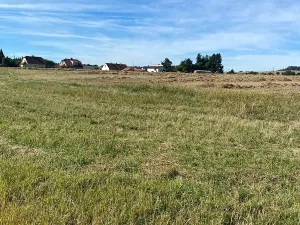 Prodej pozemku pro bydlení, Lnáře, 5991 m2