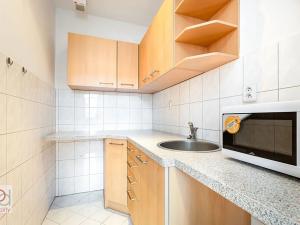 Pronájem obchodního prostoru, České Budějovice, Piaristická, 64 m2