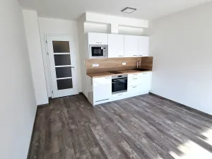 Pronájem bytu 1+kk, Praha - Třebonice, Thomasova, 30 m2
