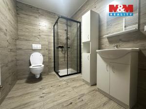 Pronájem bytu 2+kk, Fulnek - Stachovice, 64 m2