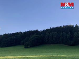 Prodej lesa, Velké Poříčí, 14479 m2