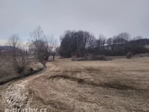Dražba rybníku, Všepadly, 79189 m2
