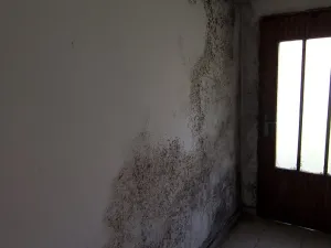 Prodej rodinného domu, Bystřice pod Hostýnem, 118 m2