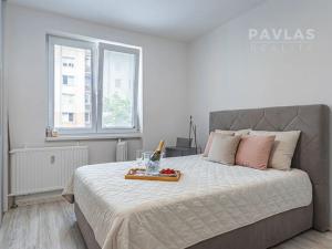 Prodej bytu 3+1, České Budějovice, K. Štěcha, 84 m2