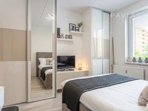 Prodej bytu 3+1, České Budějovice, K. Štěcha, 84 m2