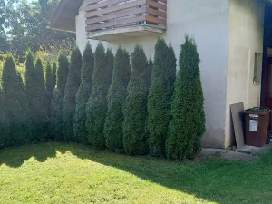 Prodej chaty, Louňovice, Na Dolách, 70 m2