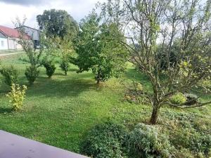 Pronájem bytu 3+1, Buchlovice, 91 m2