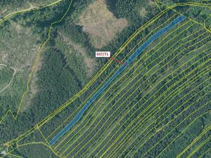 Dražba lesa, Netřebice, 6768 m2