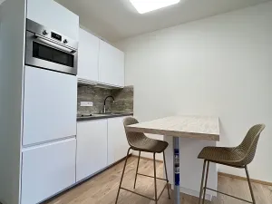 Pronájem bytu 1+kk, Praha - Smíchov, Holečkova, 8 m2
