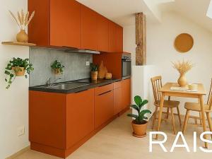 Prodej bytu 2+kk, Brno, Novobranská, 55 m2