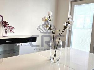 Pronájem bytu 3+kk, Moravské Knínice, Pod Školou, 114 m2
