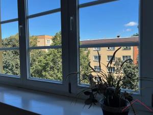 Pronájem bytu 3+1, Praha - Veleslavín, Křenova, 88 m2