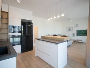 Pronájem bytu 2+kk, Praha - Karlín, 69 m2