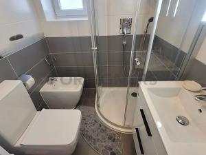 Pronájem bytu 1+kk, Brno, Pellicova, 30 m2