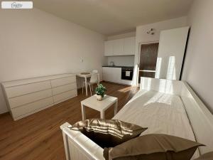 Pronájem bytu 1+kk, Praha - Záběhlice, Hvozdíková, 24 m2