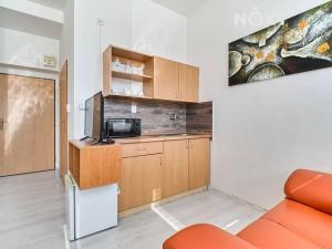 Pronájem bytu 1+kk, Orlová, Těšínská, 22 m2