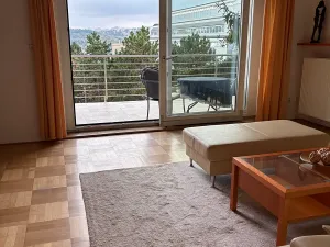 Pronájem bytu 4+1, Brno, Vinařská, 125 m2