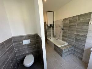 Pronájem bytu 2+1, Frýdek-Místek, Míru, 84 m2