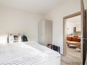 Pronájem bytu 2+kk, Brno - Husovice, Hálkova, 49 m2