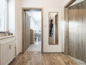 Pronájem bytu 2+kk, Brno - Husovice, Hálkova, 49 m2