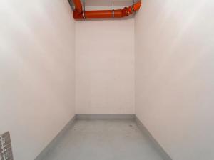 Pronájem bytu 1+kk, Praha - Žižkov, Olšanská, 43 m2