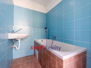 Prodej bytu 2+1, Teplice, Školní, 101 m2