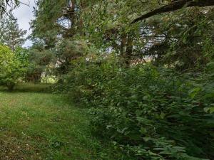 Prodej rodinného domu, Vrbice, 76 m2