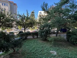 Pronájem bytu 1+1, Brno, Cihlářská, 37 m2