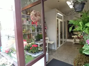 Pronájem obchodního prostoru, Praha - Vinohrady, Francouzská, 29 m2