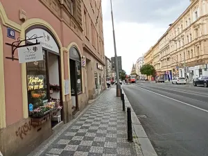Pronájem obchodního prostoru, Praha - Vinohrady, Francouzská, 29 m2